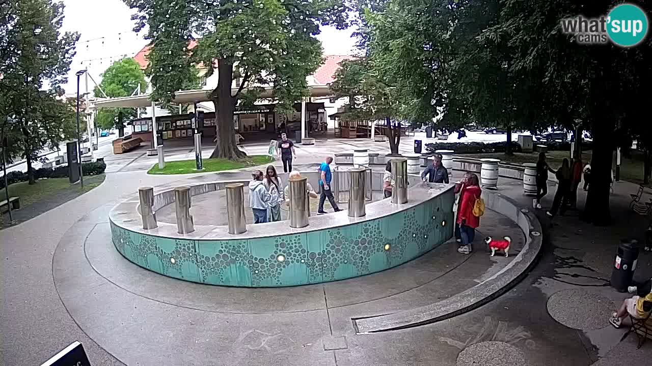 Fontana di birra Webcam – Oro verde – Žalec
