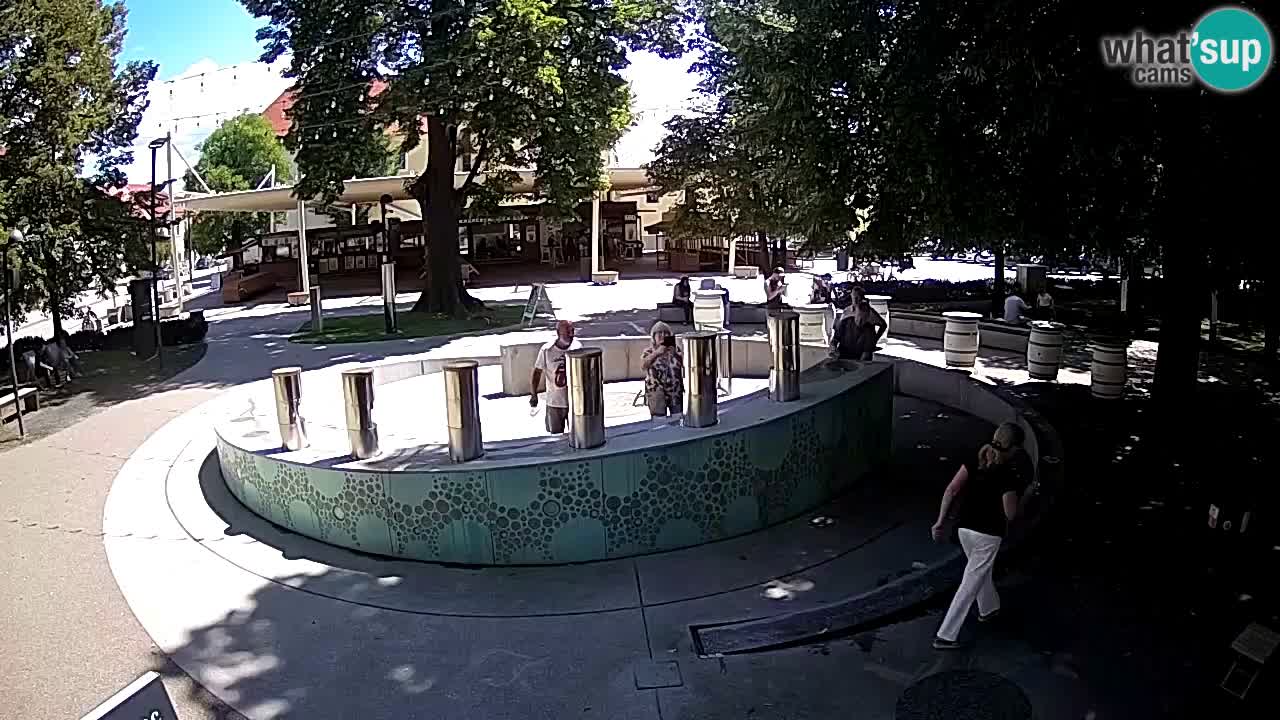 Web kamera Fontana piva – Zeleno zlato – Žalec