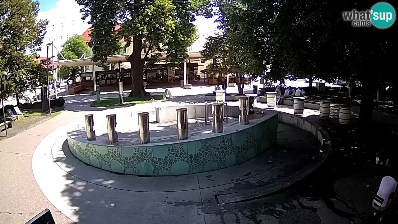 Fontaine à bière LIVE webcam – Or vert – Žalec