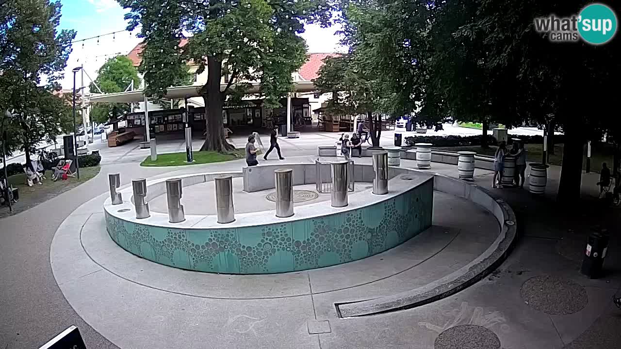 Spletna kamera Fontana Piv – Zeleno zlato Žalec