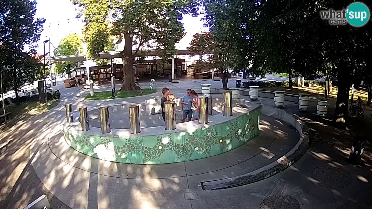 Bier-Springbrunnen Webcam Žalec – Grünen Goldes