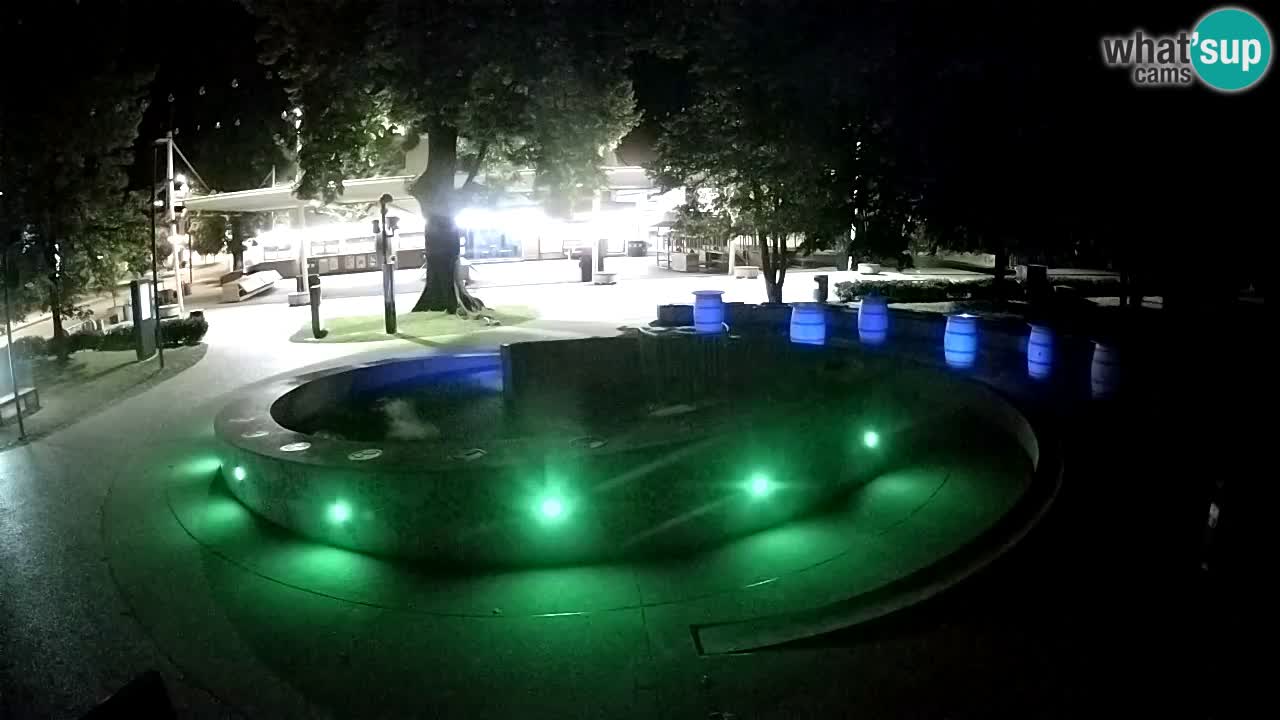 Bier-Springbrunnen Webcam Žalec – Grünen Goldes