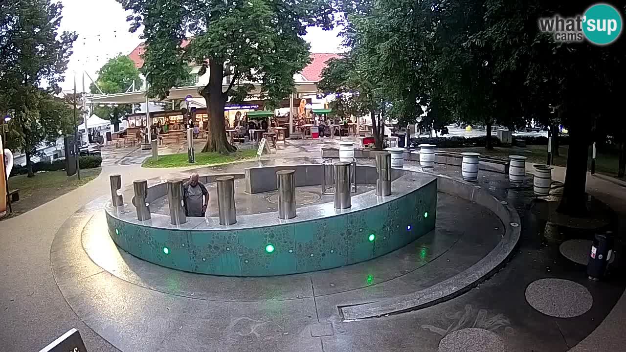 Bier-Springbrunnen Webcam Žalec – Grünen Goldes