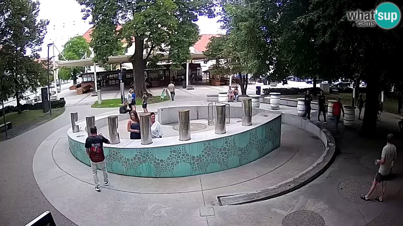 Fontaine à bière LIVE webcam – Or vert – Žalec