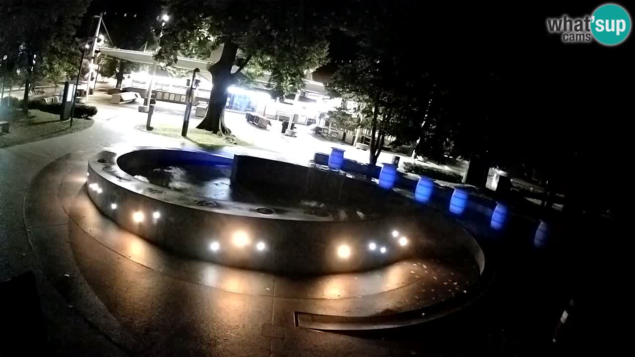 Camera en vivo Fuente de cerveza – Oro verde – Žalec