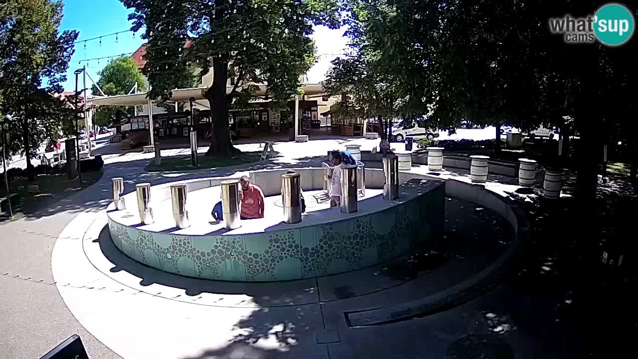 Fontana di birra Webcam – Oro verde – Žalec