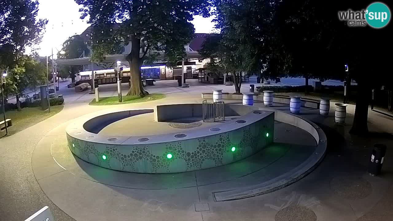 Bier-Springbrunnen Webcam Žalec – Grünen Goldes