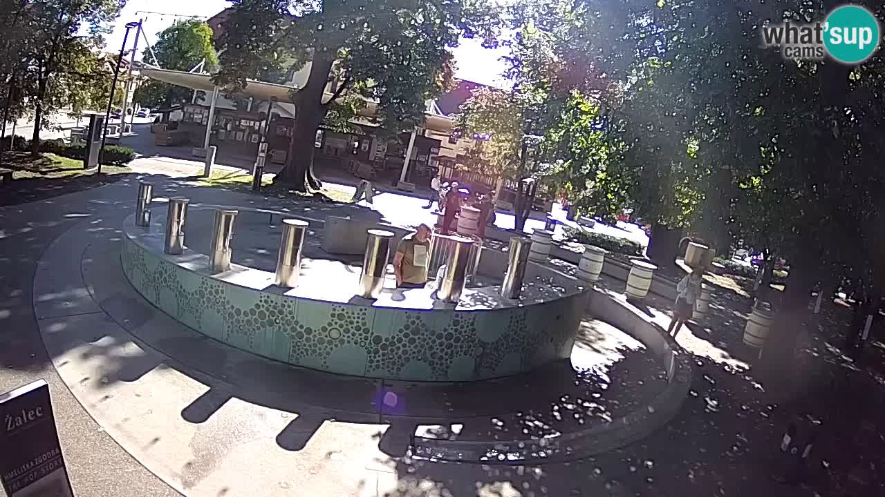 Spletna kamera Fontana Piv – Zeleno zlato Žalec
