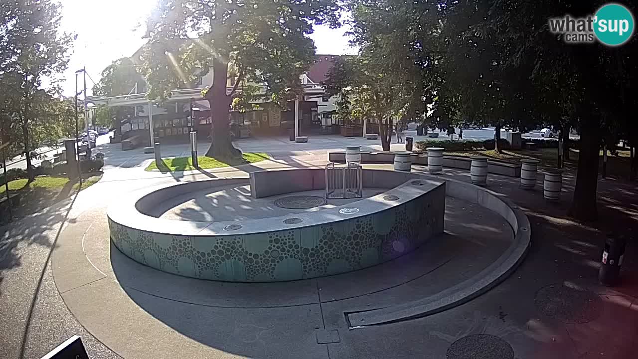 Fontana di birra Webcam – Oro verde – Žalec