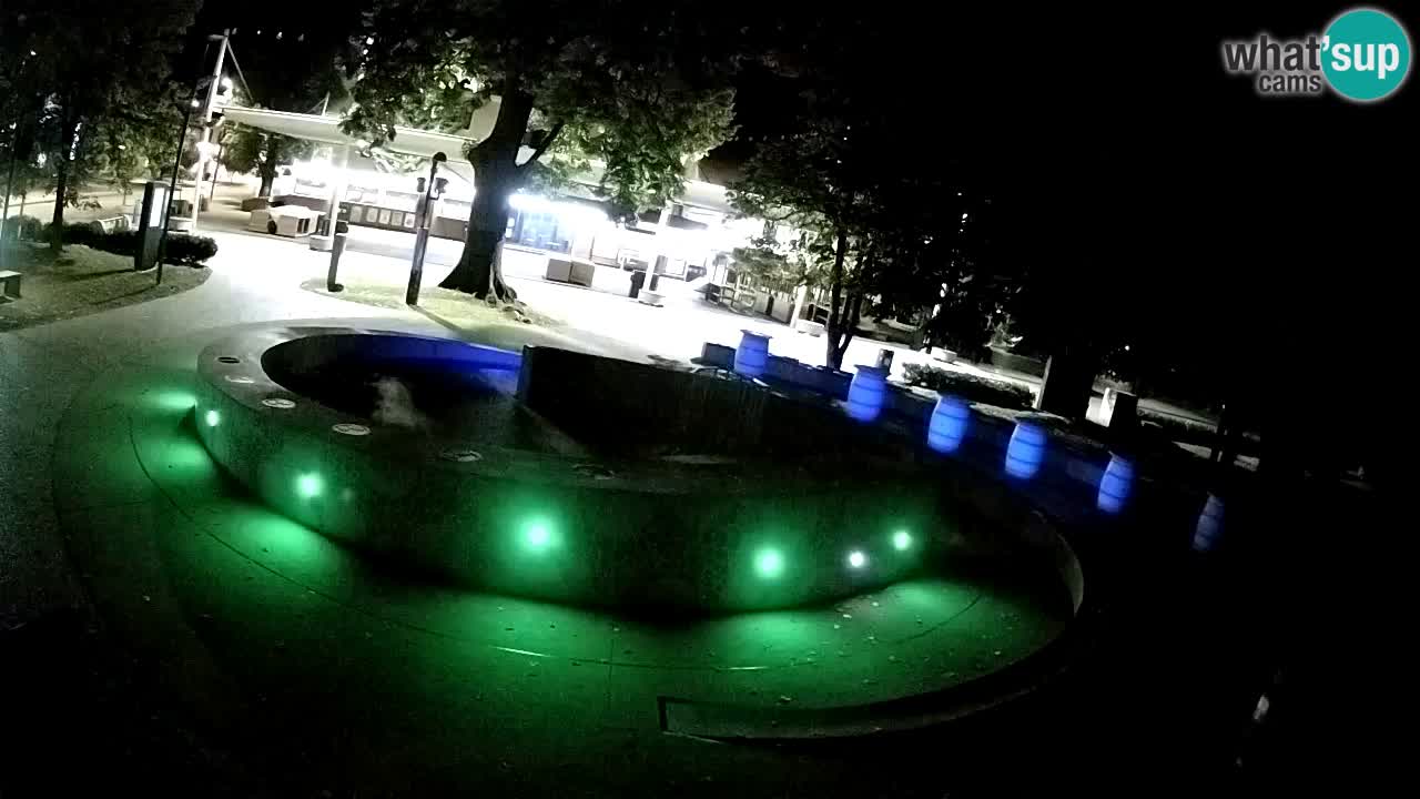 Spletna kamera Fontana Piv – Zeleno zlato Žalec