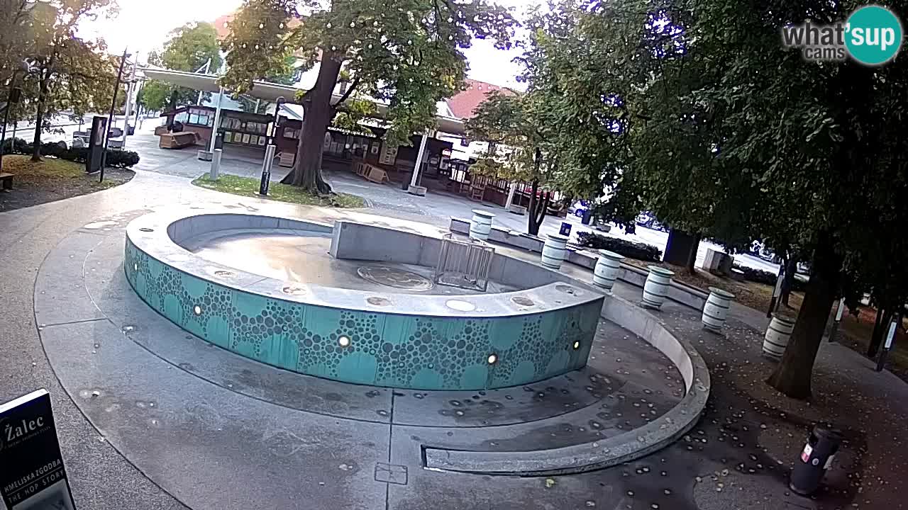 Bier-Springbrunnen Webcam Žalec – Grünen Goldes