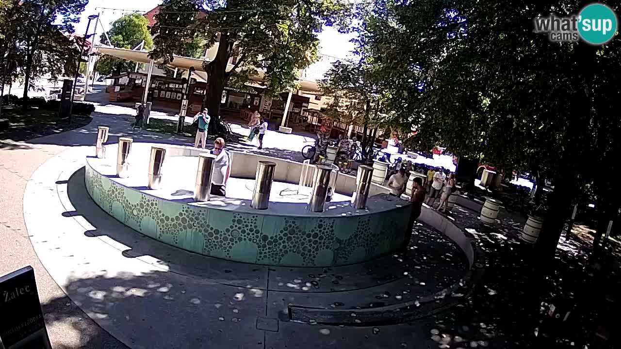 Camera en vivo Fuente de cerveza – Oro verde – Žalec