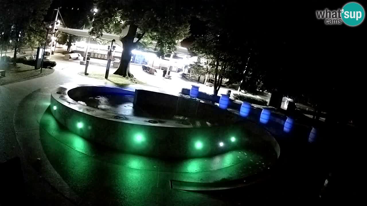 Spletna kamera Fontana Piv – Zeleno zlato Žalec