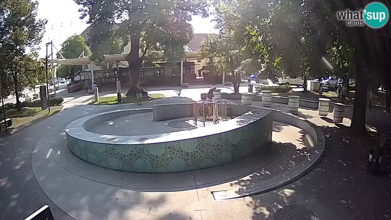 Spletna kamera Fontana Piv – Zeleno zlato Žalec