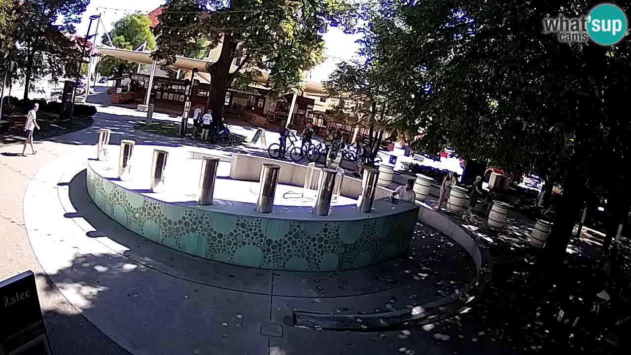 Fontaine à bière LIVE webcam – Or vert – Žalec