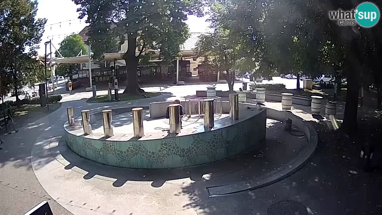 Spletna kamera Fontana Piv – Zeleno zlato Žalec