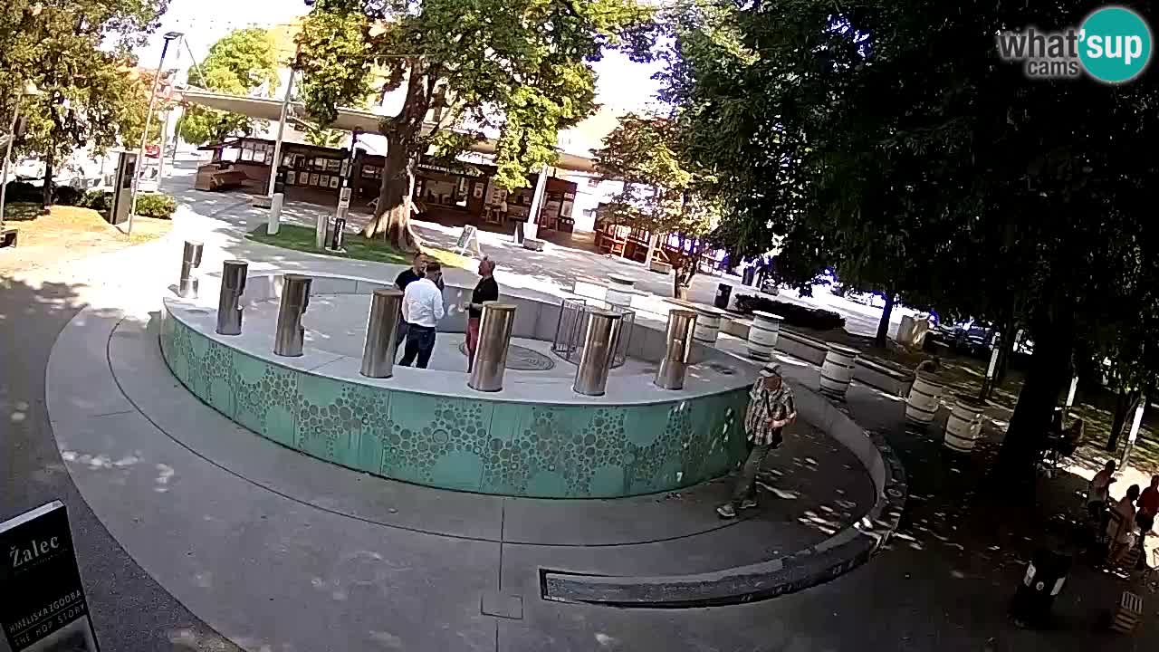 Bier-Springbrunnen Webcam Žalec – Grünen Goldes