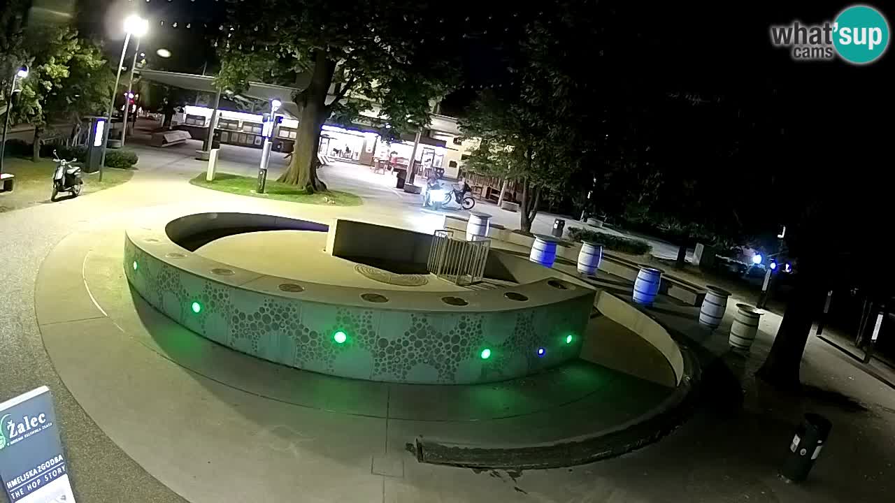 Bier-Springbrunnen Webcam Žalec – Grünen Goldes