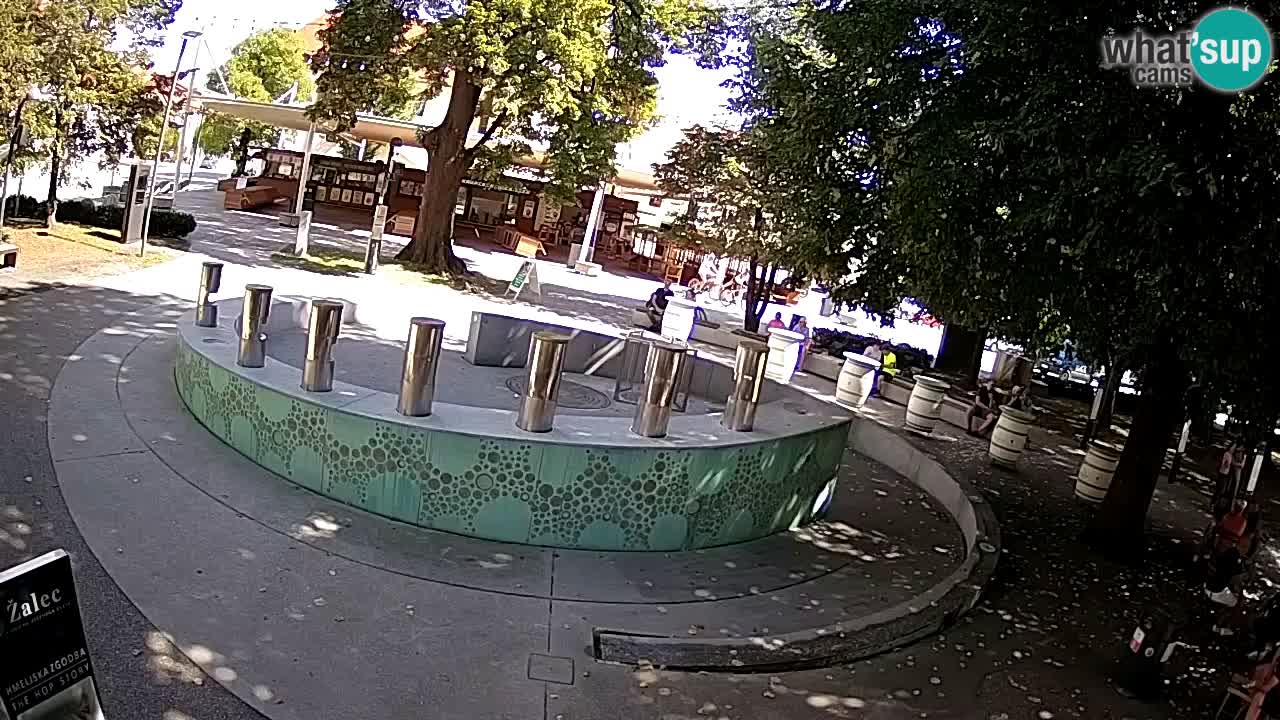 Bier-Springbrunnen Webcam Žalec – Grünen Goldes