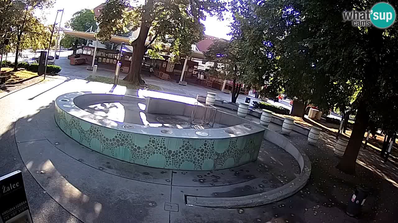 Camera en vivo Fuente de cerveza – Oro verde – Žalec