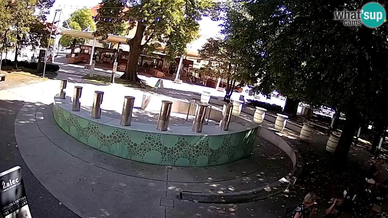 Fontana di birra Webcam – Oro verde – Žalec