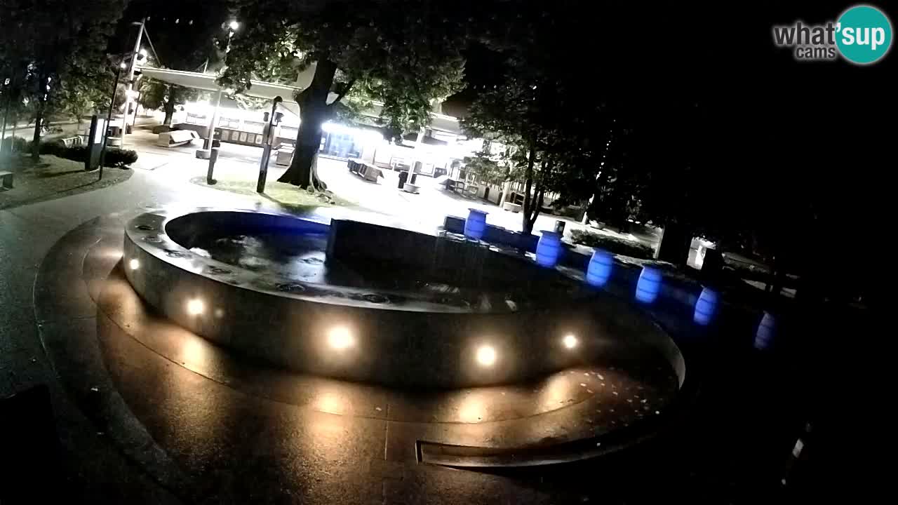 Fontaine à bière LIVE webcam – Or vert – Žalec