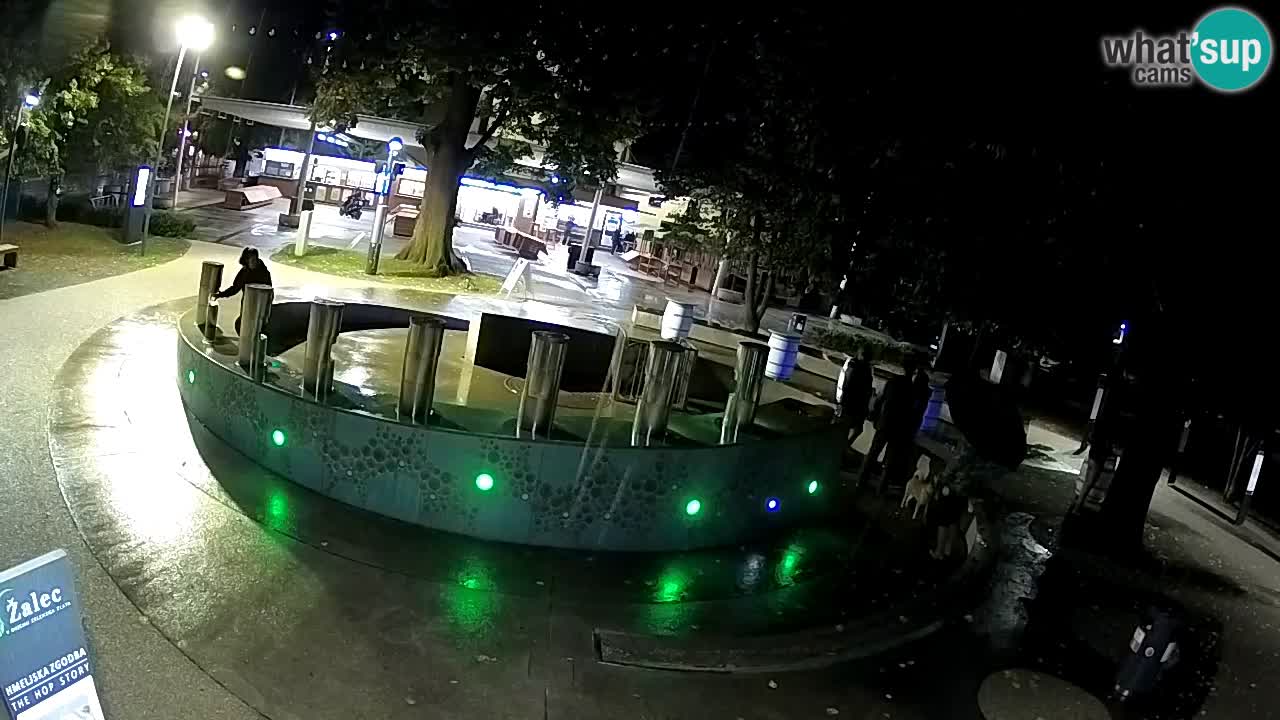 Spletna kamera Fontana Piv – Zeleno zlato Žalec