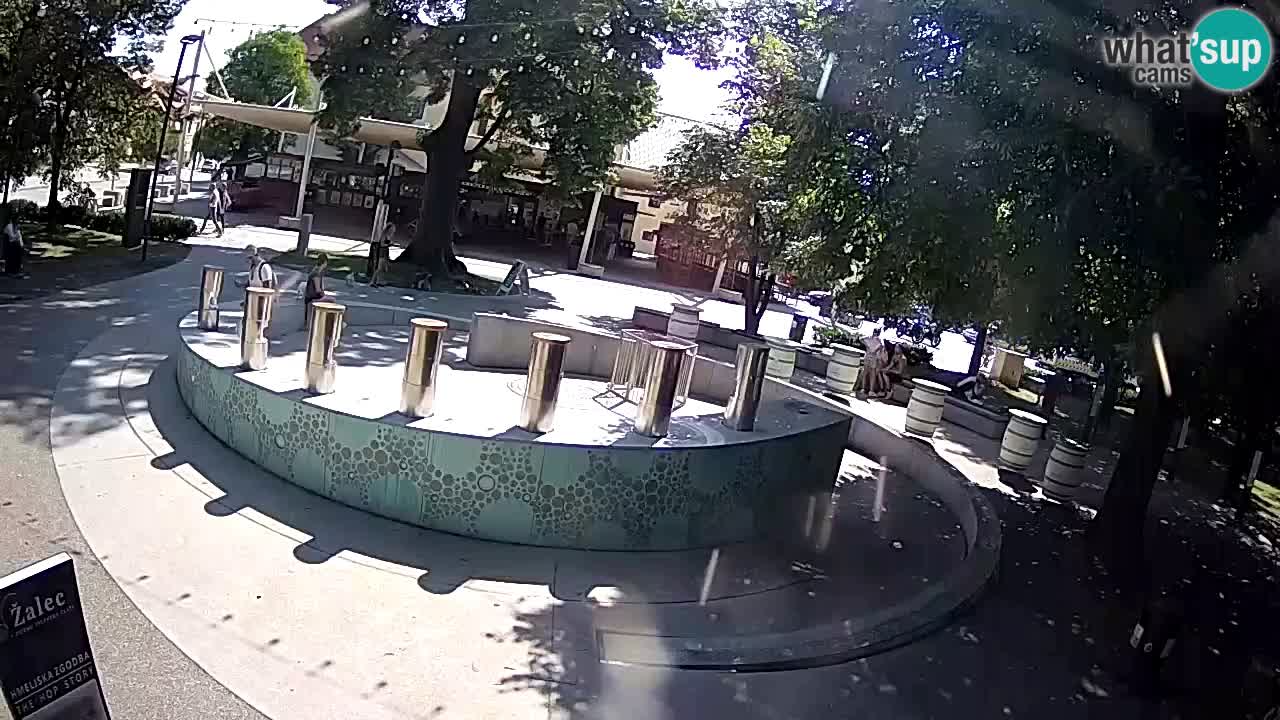 Fontana di birra Webcam – Oro verde – Žalec