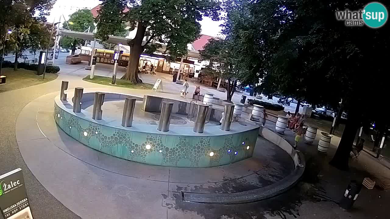 Bier-Springbrunnen Webcam Žalec – Grünen Goldes