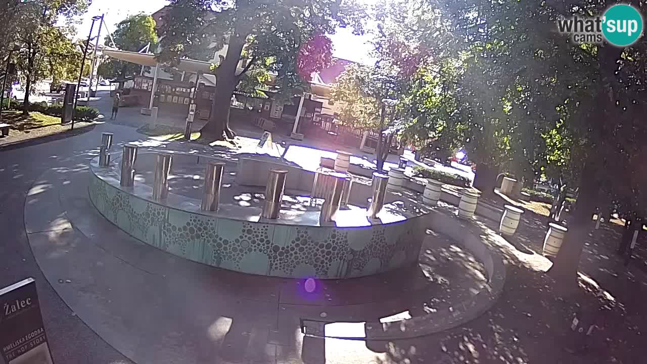 Bier-Springbrunnen Webcam Žalec – Grünen Goldes