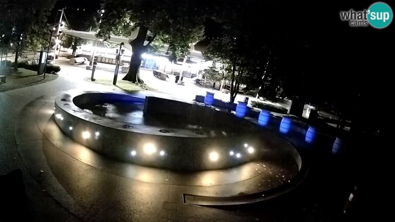Spletna kamera Fontana Piv – Zeleno zlato Žalec