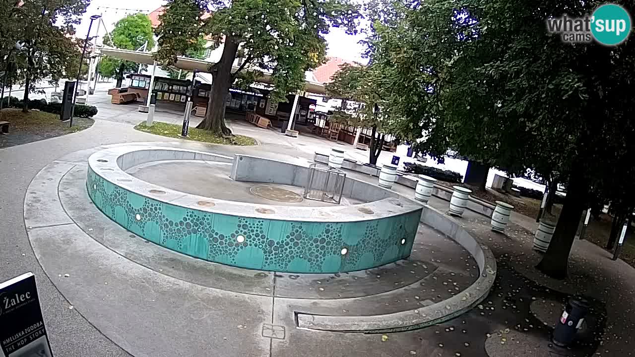 Fontaine à bière LIVE webcam – Or vert – Žalec
