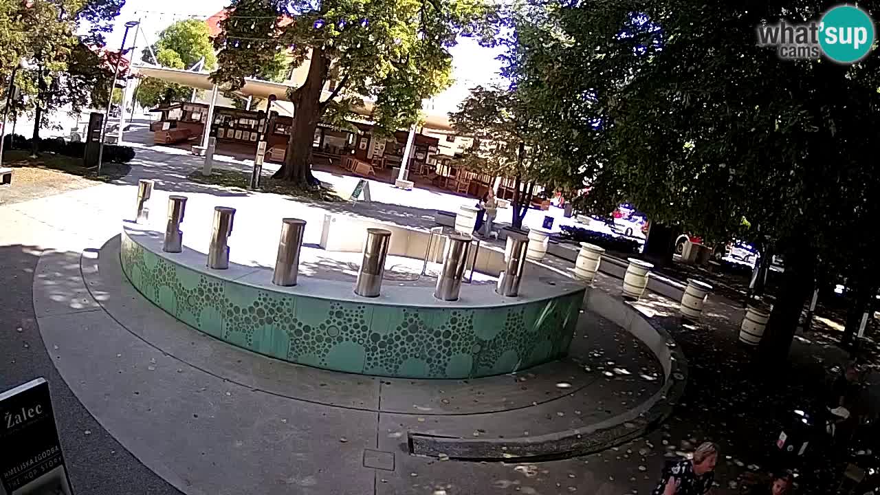 Fontaine à bière LIVE webcam – Or vert – Žalec