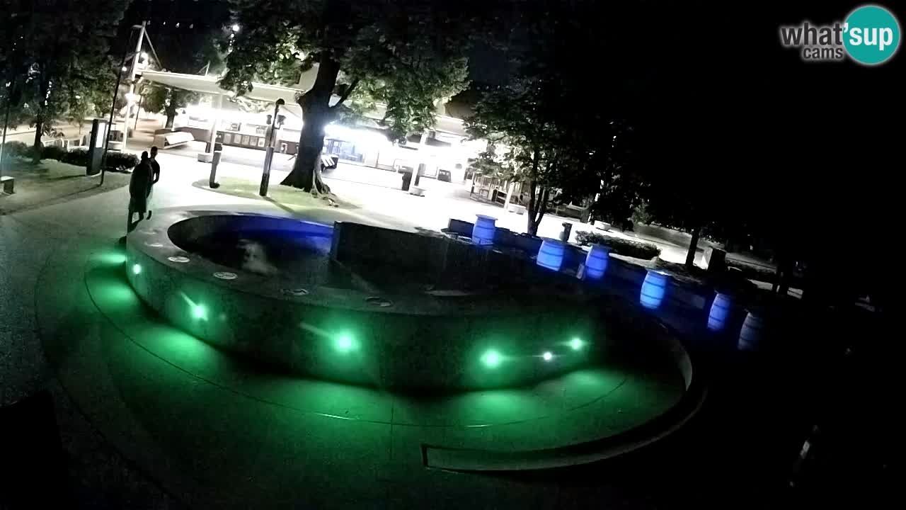 Bier-Springbrunnen Webcam Žalec – Grünen Goldes