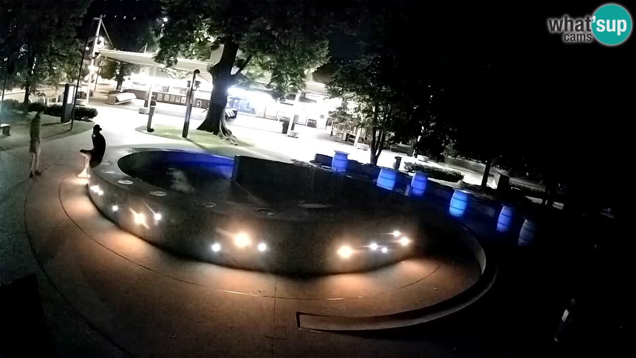 Fontaine à bière LIVE webcam – Or vert – Žalec