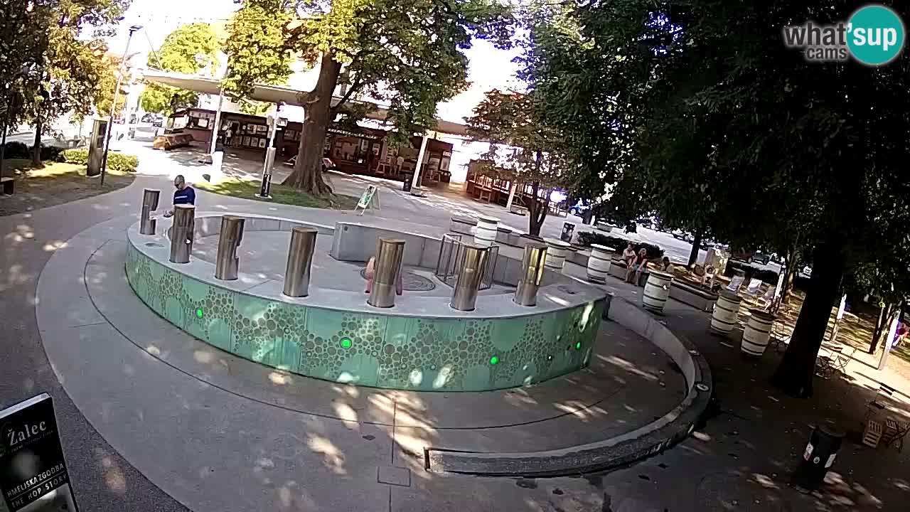 Fontaine à bière LIVE webcam – Or vert – Žalec