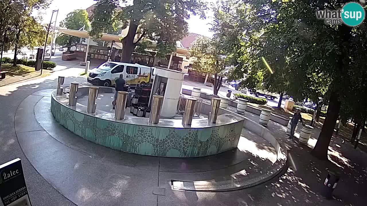 Fontaine à bière LIVE webcam – Or vert – Žalec