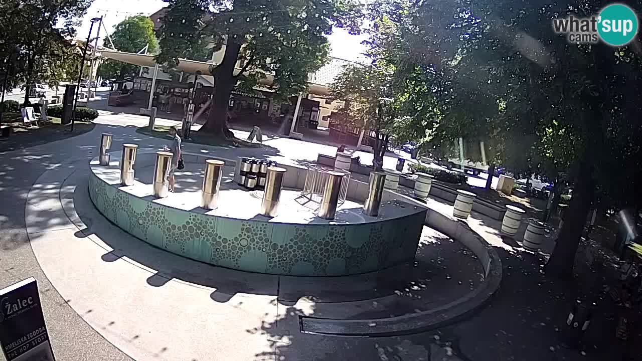 Fontaine à bière LIVE webcam – Or vert – Žalec
