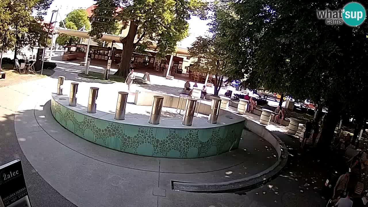 Camera en vivo Fuente de cerveza – Oro verde – Žalec