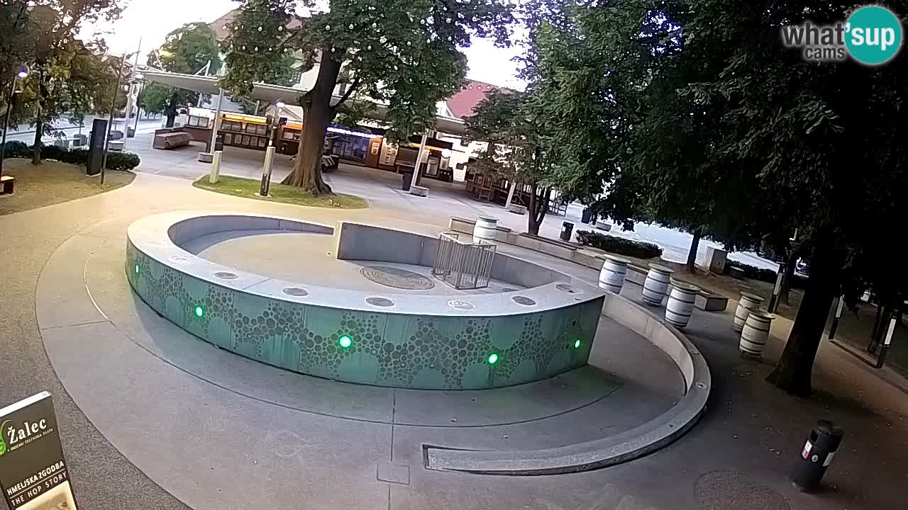 Camera en vivo Fuente de cerveza – Oro verde – Žalec