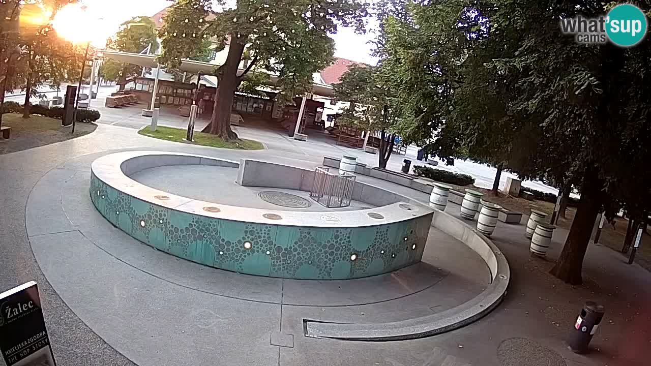 Fontaine à bière LIVE webcam – Or vert – Žalec