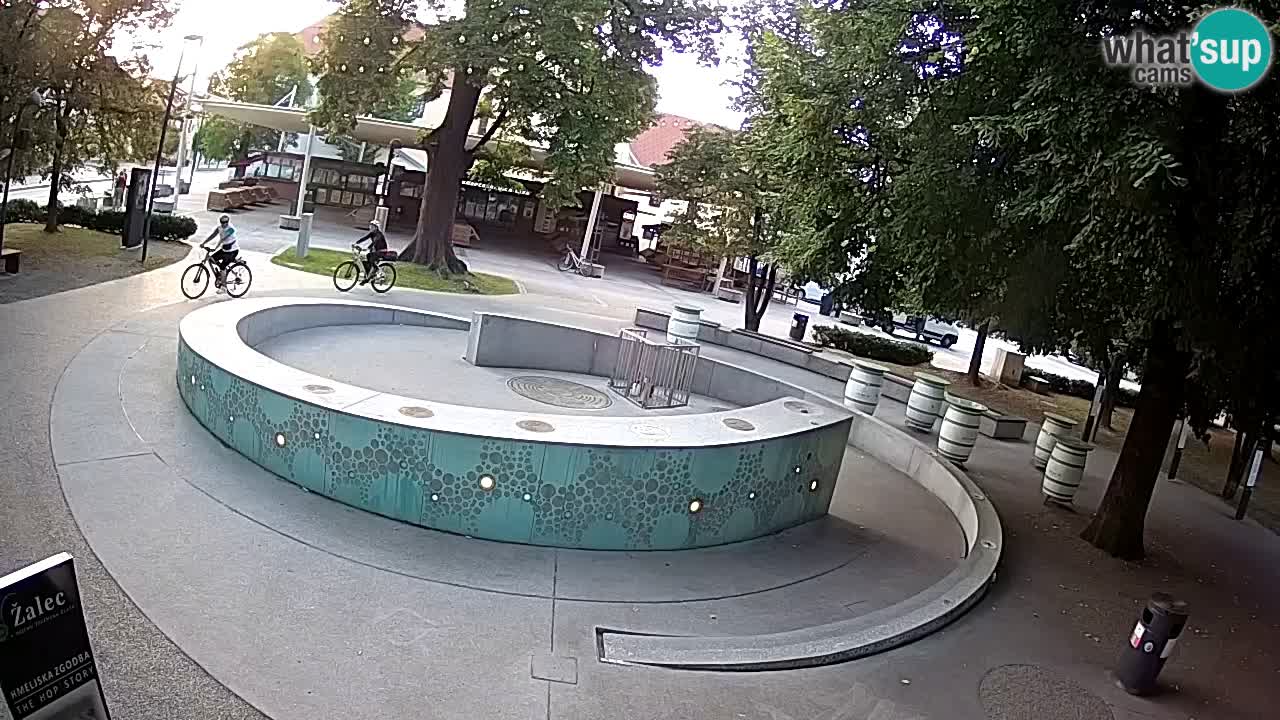 Fontaine à bière LIVE webcam – Or vert – Žalec