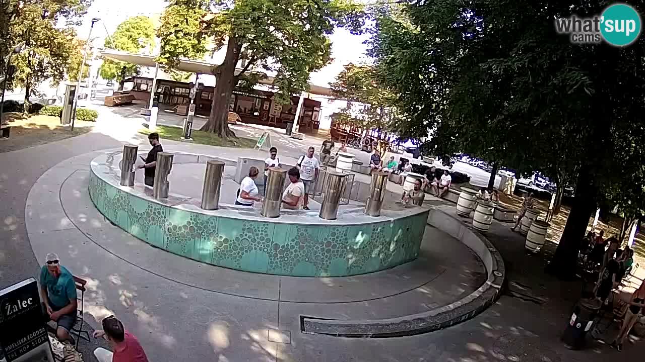 Spletna kamera Fontana Piv – Zeleno zlato Žalec