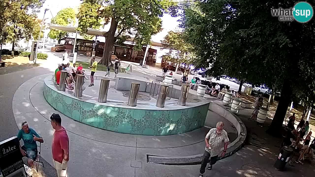 Spletna kamera Fontana Piv – Zeleno zlato Žalec