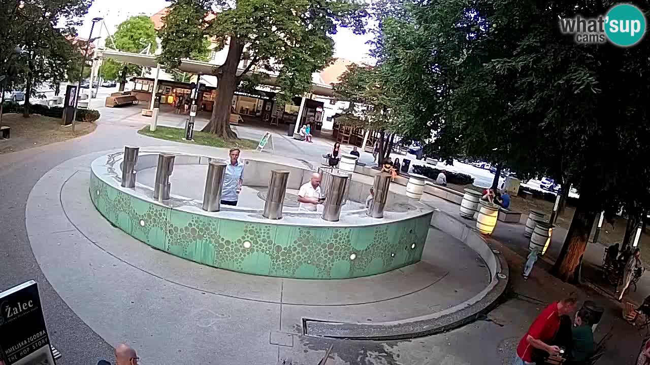 Fontaine à bière LIVE webcam – Or vert – Žalec