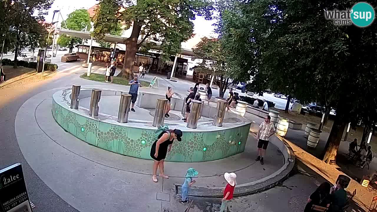 Camera en vivo Fuente de cerveza – Oro verde – Žalec