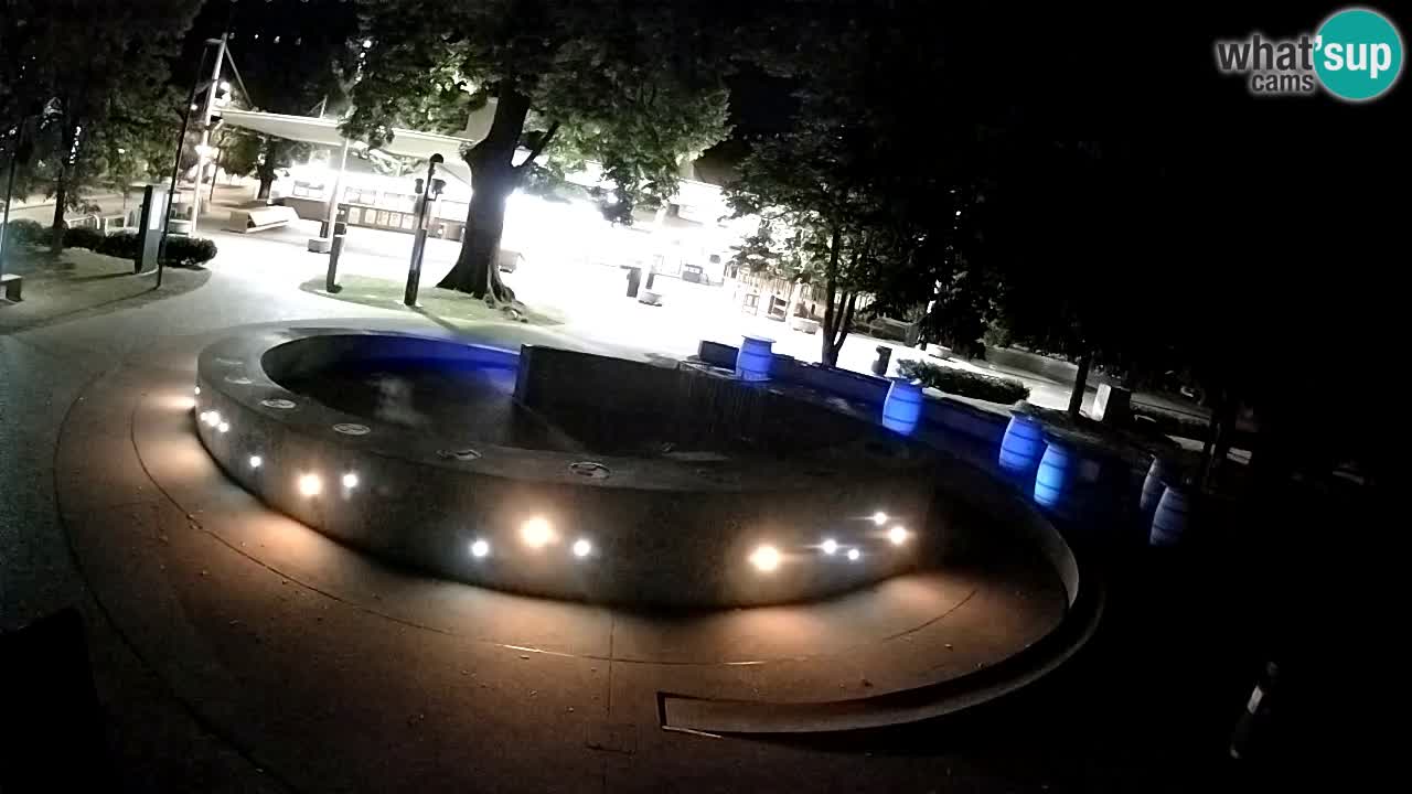 Bier-Springbrunnen Webcam Žalec – Grünen Goldes