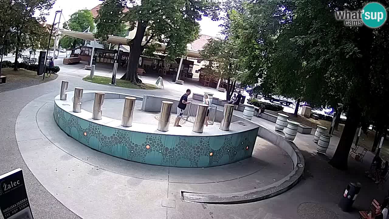 Bier-Springbrunnen Webcam Žalec – Grünen Goldes