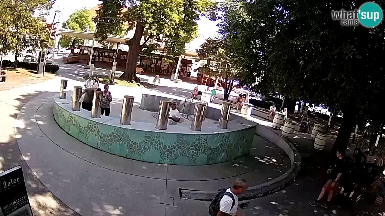 Fontaine à bière LIVE webcam – Or vert – Žalec