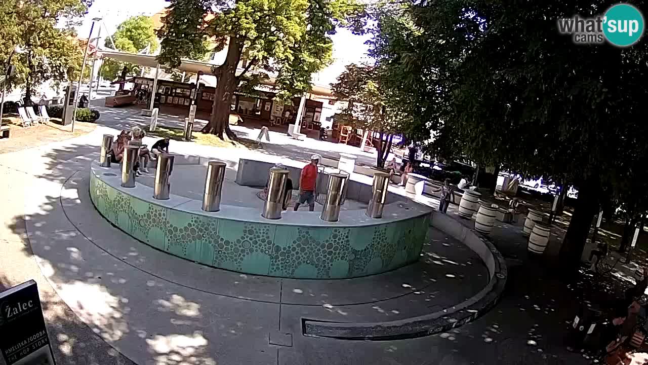 Spletna kamera Fontana Piv – Zeleno zlato Žalec